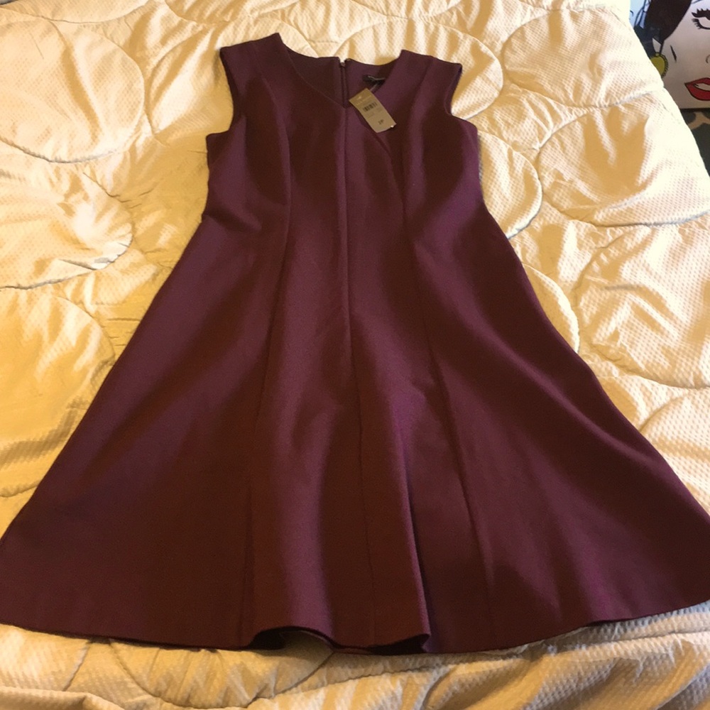 Ann Taylor NWT Professional Dress